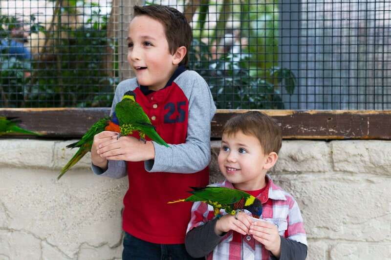 Niagara Falls, Canada: Bird Kingdom Entry Ticket - How long it takes: plan 1 hour, then stay flexible