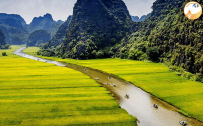 NINH BINH DAY TRIP: HOA LU,MUA CAVES &THUNG NHAM BIRD VALLEY - Hoa Lu Ancient Capital: where Vietnam’s dynasties feel real