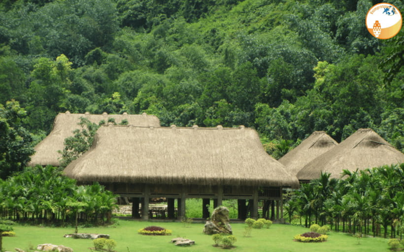 NINH BINH DAY TRIP: HOA LU,MUA CAVES &THUNG NHAM BIRD VALLEY - Guides make the difference: staying ahead, not just getting through