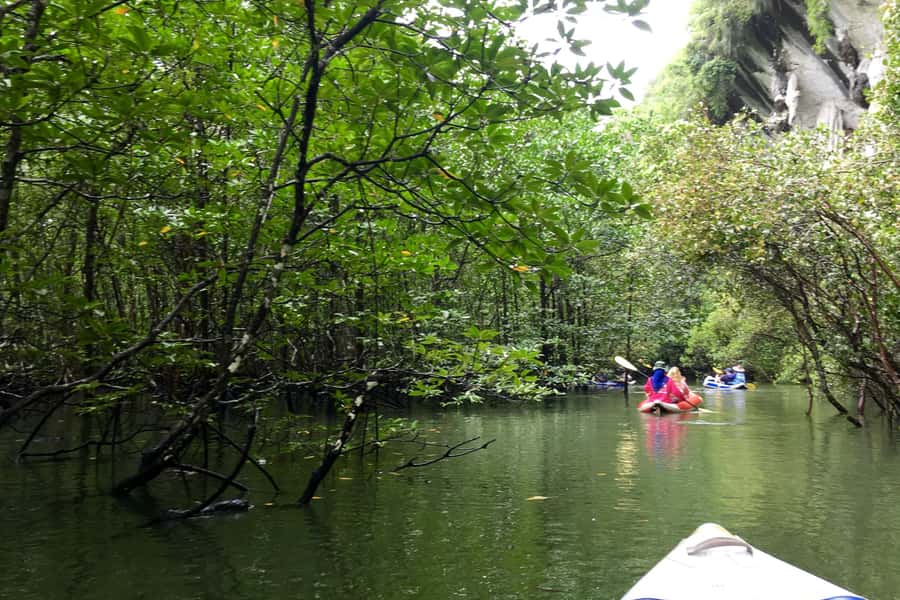 Phang Nga Bay: Early Bird James Bond & Beyond Tour - Koh Phanak cave and inner lagoon: wildlife you can actually spot