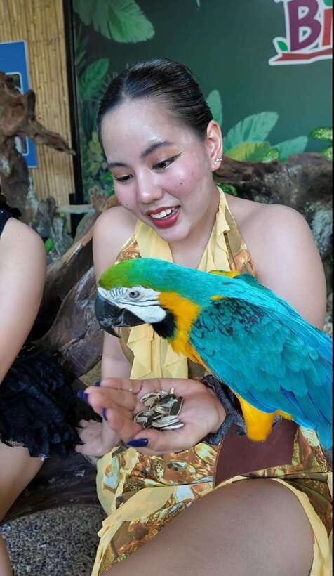 Phuket: Bird Park Entry Ticket - Key things to know before you go