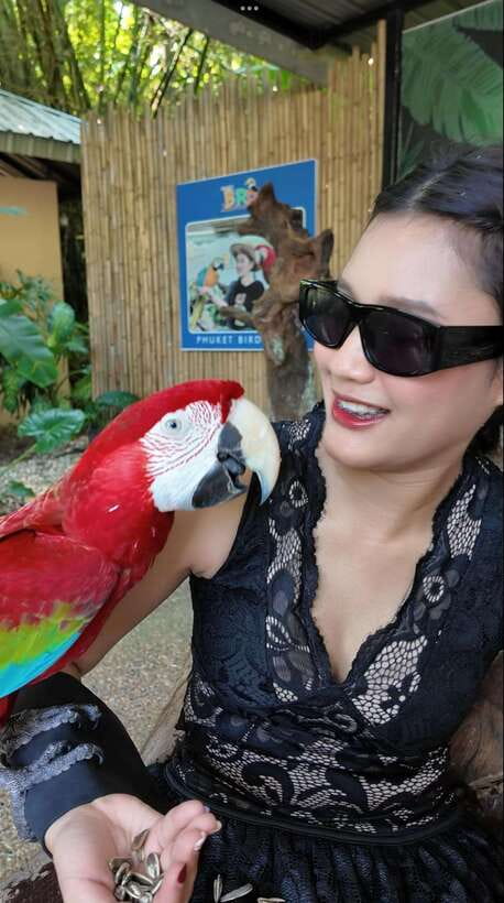 Phuket: Bird Park Entry Ticket - Phuket Bird Park Entry: What You’re Actually Buying