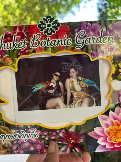 Phuket: Bird Park Entry Ticket - Planning Your Day Without Guesswork