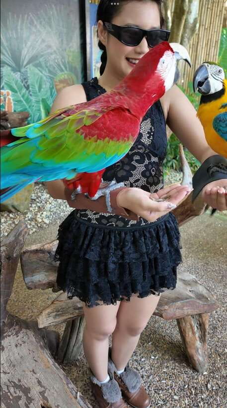 Phuket: Bird Park Entry Ticket - Other Animals in the Park: What They Add