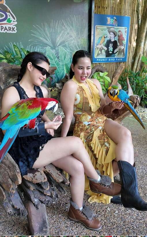Phuket: Bird Park Entry Ticket - Price and Value: Is $28 Worth It?