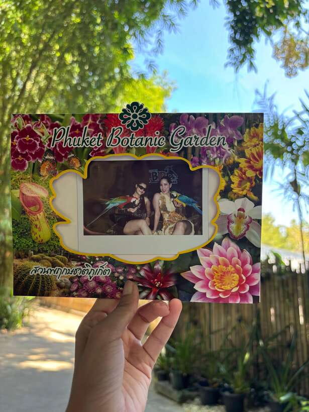 Phuket: Bird Park Entry Ticket - What to Expect on Site: Photos, Weather, and Rules
