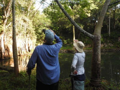 Playa del Carmen: Guided Birdwatching Hike - The early pickup and the pre-hike fuel you’ll actually need