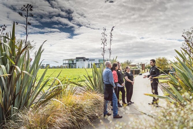 Private tour from Auckland - Waitomo Glowworm Caves, Zealong Tea & Kiwi Bird - Key highlights you’ll feel right away
