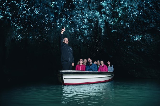 Private tour from Auckland - Waitomo Glowworm Caves, Zealong Tea & Kiwi Bird - The practical part: how this private day trip runs
