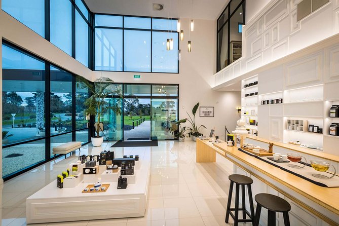 Private tour from Auckland - Waitomo Glowworm Caves, Zealong Tea & Kiwi Bird - Zealong Tea Estate: organic tea tasting that breaks up the driving