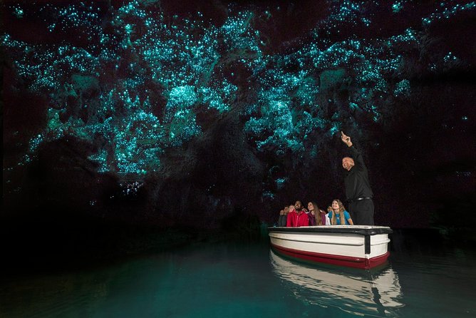 Private tour from Auckland - Waitomo Glowworm Caves, Zealong Tea & Kiwi Bird - Price and value: what $619.95 per person really covers