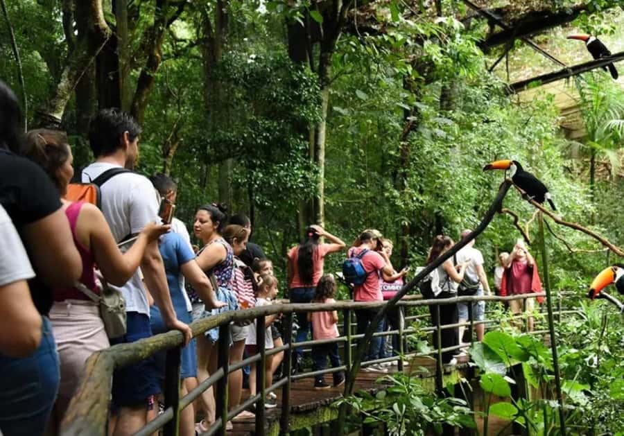 Puerto Iguazu: Iguaza Falls Brazilian Side & Bird Park Tour - Brazilian Iguazu Falls: what you’re really signing up for
