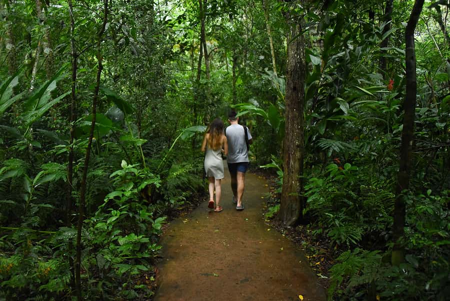Puerto Iguazu: Iguaza Falls Brazilian Side & Bird Park Tour - The guide factor: bilingual help, but not a full commentary tour