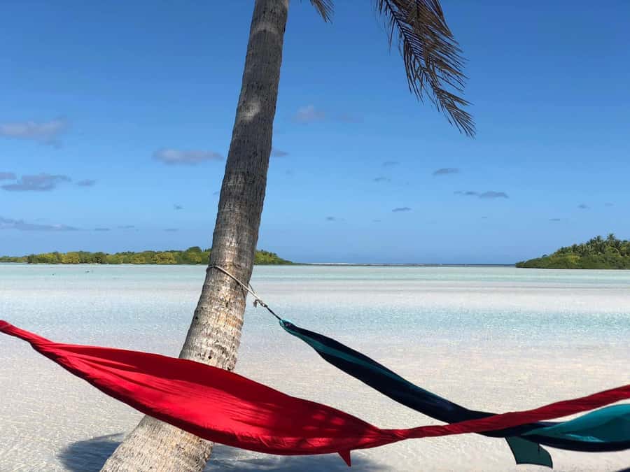 Rangiroa: Blue Lagoon Tiputa Pass Coral Garden Island Birds - Your pickup and day flow from Rangiroa