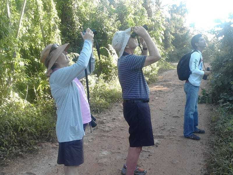 Riviera Maya: Puerto Morelos 4-Hour Bird Watching Tour - Botanical Gardens and the migratory-bird first stop concept
