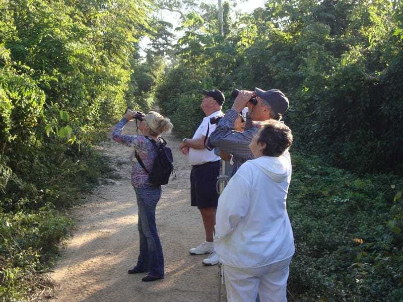 Riviera Maya: Puerto Morelos 4-Hour Bird Watching Tour - Species you can realistically hope to see: tucans, jays, and the life-list moments