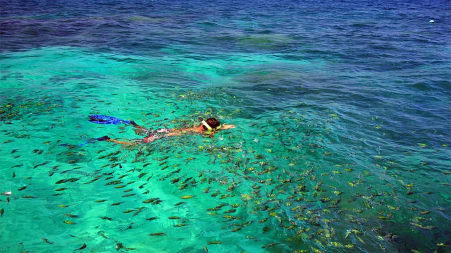 Similan Islands Early-Bird Tour From Phuket and Khao Lak! - Pier breakfast and check-in: get fuel before the water