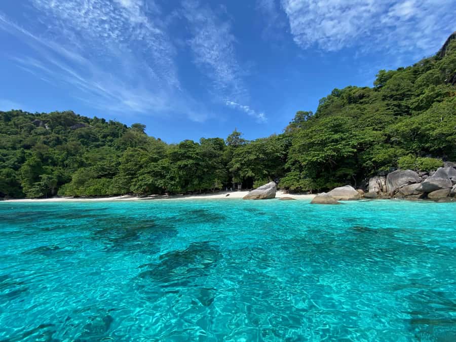 Similan Islands Early-Bird Tour From Phuket and Khao Lak! - The speedboat experience: bumpy is real, but you can manage it