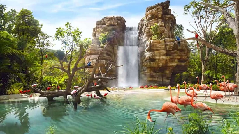 Singapore: Bird Paradise - Bird Paradise Singapore in one day: scale you can feel