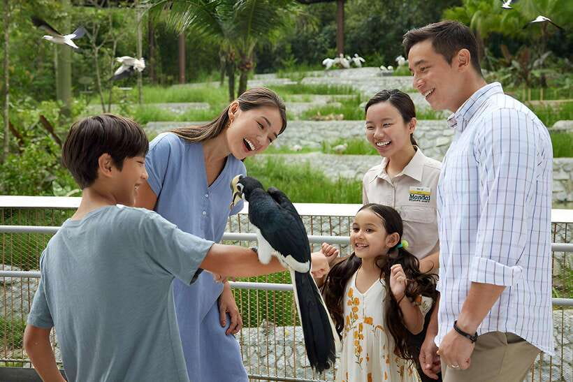 Singapore: Bird Paradise Entry Ticket - Price and Value: Is $39 Worth It for 1 Day?