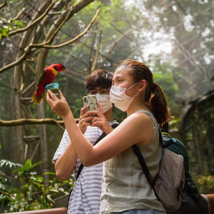 Singapore: Bird Paradise Entry Ticket - Getting Around Comfortably: Shuttle and Walking Reality