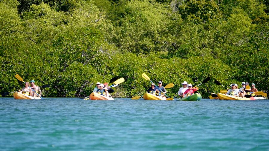 St. John's, Antigua Kayak, Snorkeling, & Beach Bird Island - Key takeaways before you paddle
