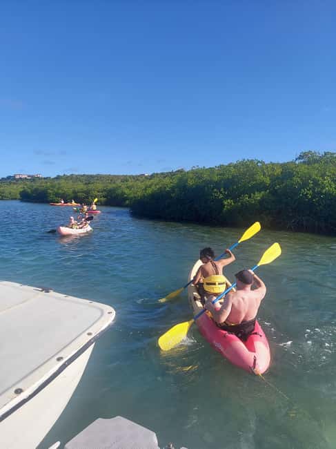 St. John's, Antigua Kayak, Snorkeling, & Beach Bird Island - Setting Off From St. John’s: Pickup That Actually Works