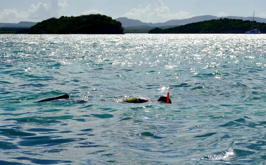 St. John's, Antigua Kayak, Snorkeling, & Beach Bird Island - Kayak Time at Willikies: Mangrove Channels and Wildlife Facts