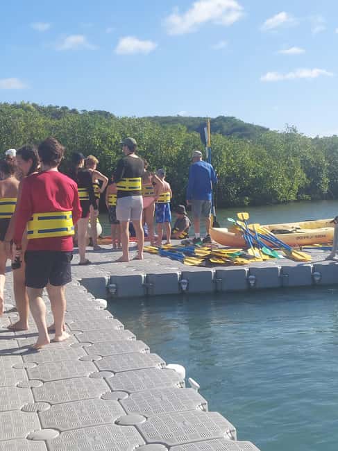 St. John's, Antigua Kayak, Snorkeling, & Beach Bird Island - Snorkeling at Great Bird Island: Clear Water, Coral, and Fish You Can Spot