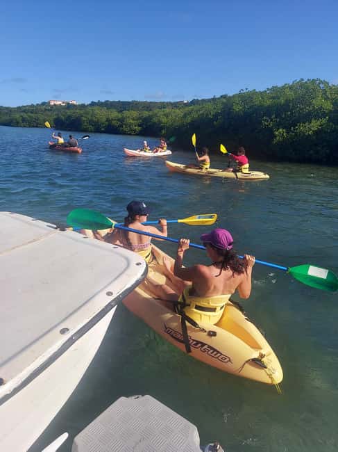 St. John's, Antigua Kayak, Snorkeling, & Beach Bird Island - Price and Value for $147: What You Get in 4 Hours