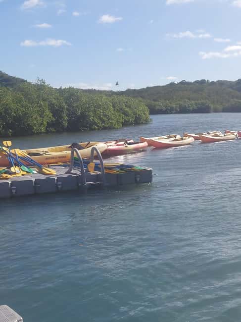 St. John's, Antigua Kayak, Snorkeling, & Beach Bird Island - Who Should Book This Antigua Kayak, Snorkeling, and Bird Island Tour