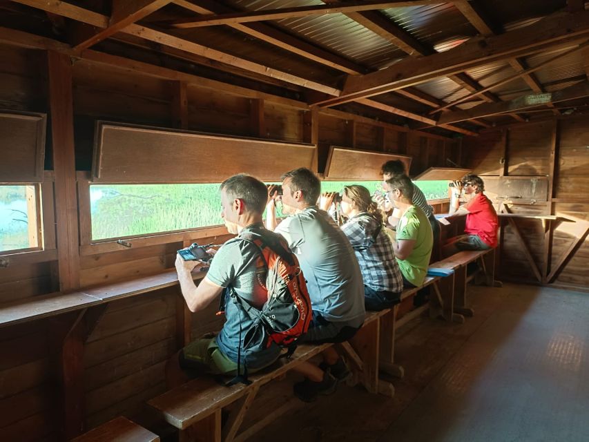 Tarragona: Southern Delta Birdwatching Private Tour - Key Things I’d Prioritize on This Tour
