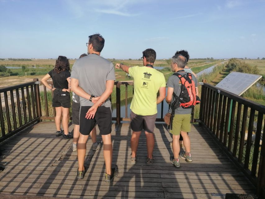 Tarragona: Southern Delta Birdwatching Private Tour - Meeting at La Casa de Fusta: The Start Point That Makes Sense