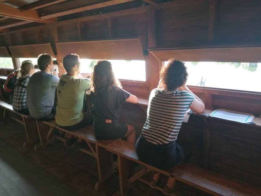 Tarragona: Southern Delta Birdwatching Private Tour - SeoBirdLife and Riet Vell Hides: Conservation at the End