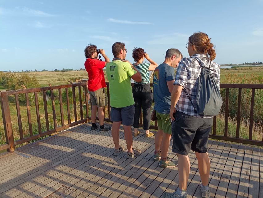 Tarragona: Southern Delta Birdwatching Private Tour - What 3 Hours Covers (and How to Make It Worth It)