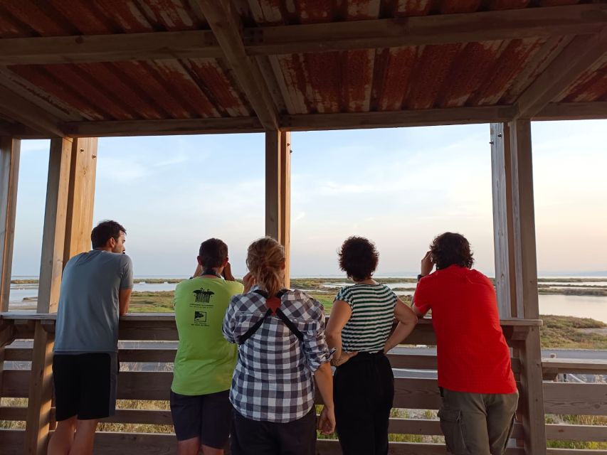 Tarragona: Southern Delta Birdwatching Private Tour - El Pont del Trávés and Encanyissada Lagoon: Reading the Water
