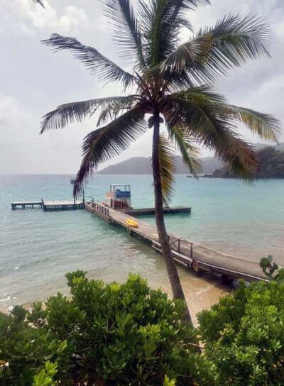 Tobago: Little Tobago Bird Sanctuary Visit and Boat Tour - Speyside + the glass-bottom boat: the reef without guessing