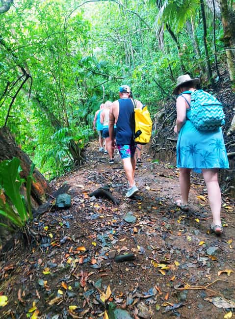 Tobago: Little Tobago Bird Sanctuary Visit and Boat Tour - Goat Island snorkeling: the reef drop-off that makes the day feel bigger