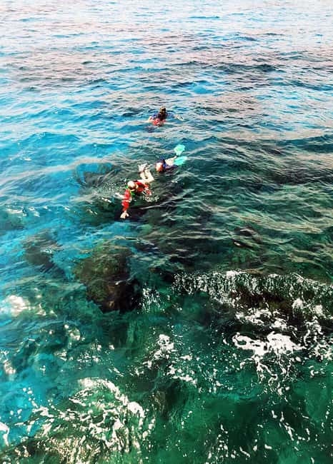 Tobago: Little Tobago Bird Sanctuary Visit and Boat Tour - Jemma’s Tree House lunch: why the food is part of the itinerary