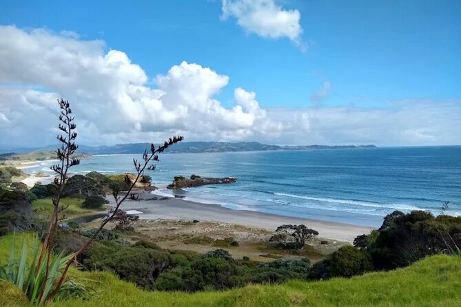 Twilight Wild Kiwi Bird Encounter Private Tour - Private transportation and WiFi: what you’re buying besides the wildlife