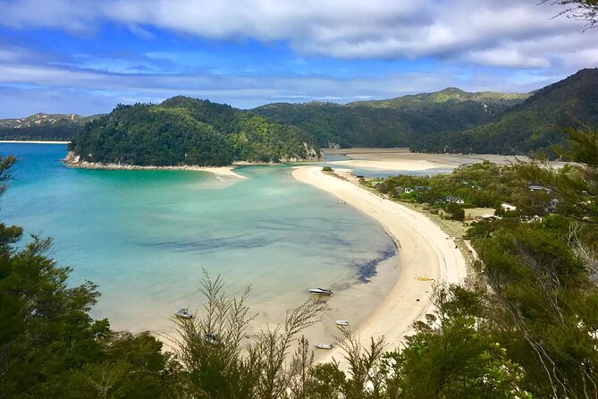 Twilight Wild Kiwi Bird Encounter Private Tour - Refreshments and warm comfort during a night walk
