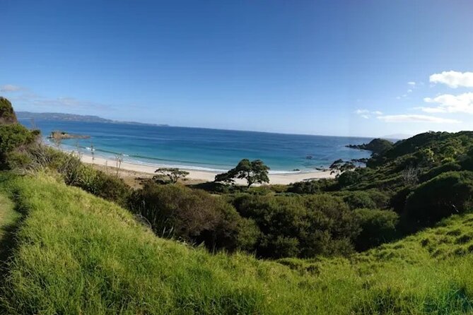 Twilight Wild Kiwi Bird Encounter Private Tour - Price and value: is $589.54 per person worth it?