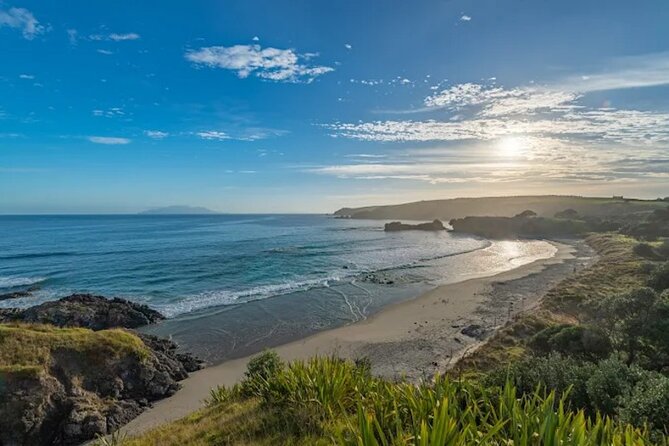 Twilight Wild Kiwi Bird Encounter Private Tour - Timing, duration, and how to plan your evening