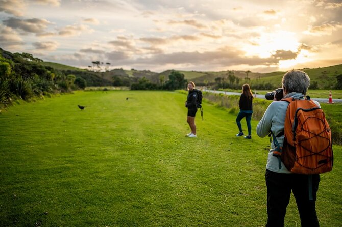 Twilight Wild Kiwi Bird Encounter Private Tour - Matakana River dinner at Matakana Market Kitchen (2 hours)